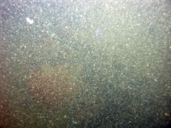 Image of seabed - photo.