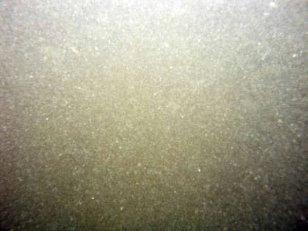 Image of seabed - photo.