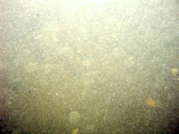 Image of seabed - photo.