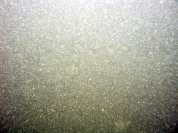 Image of seabed - photo.