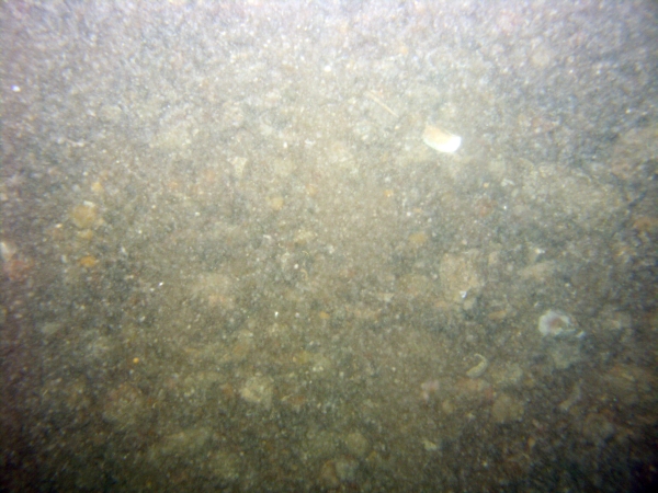 Image of seabed - photo.