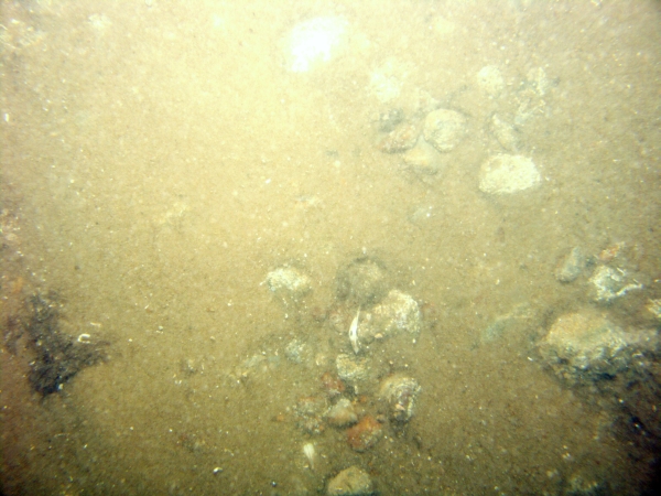 Image of seabed - photo.