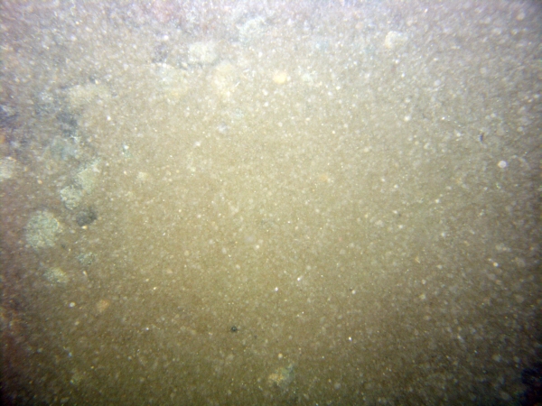 Image of seabed - photo.