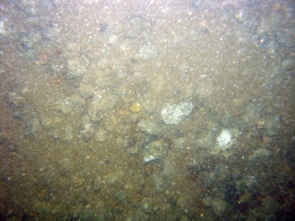 Image of seabed - photo.