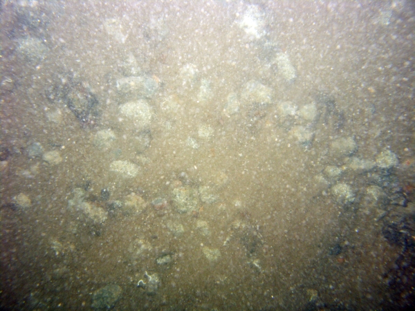 Image of seabed - photo.