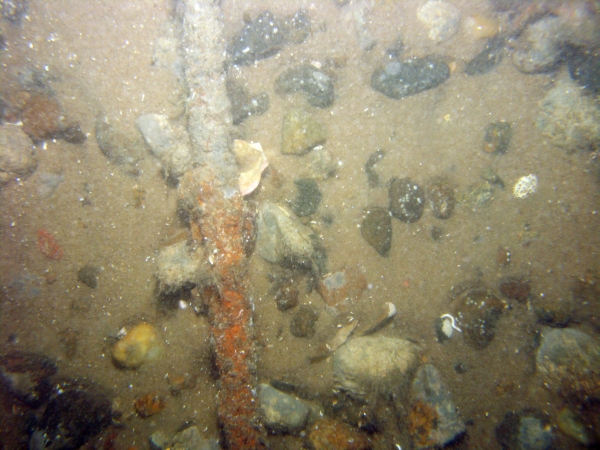 Image of seabed - photo.