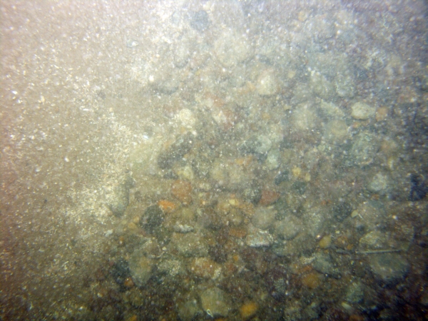 Image of seabed - photo.