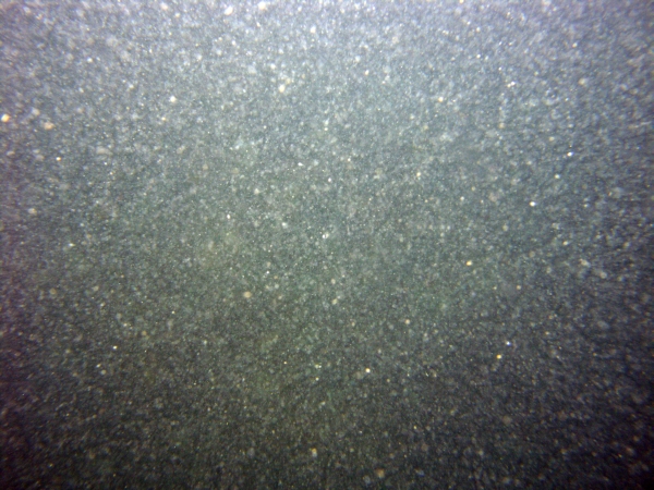 Image of seabed - photo.