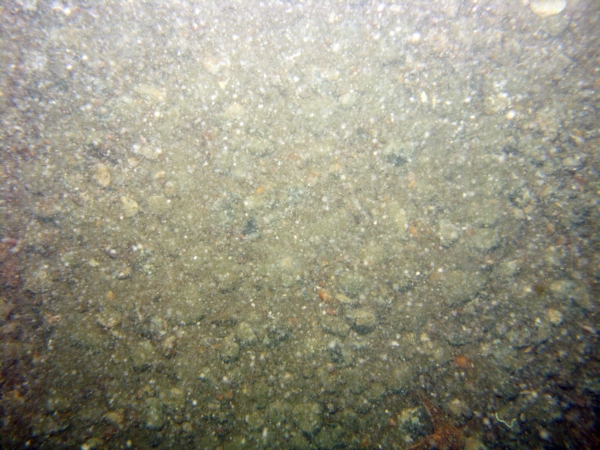 Image of seabed - photo.