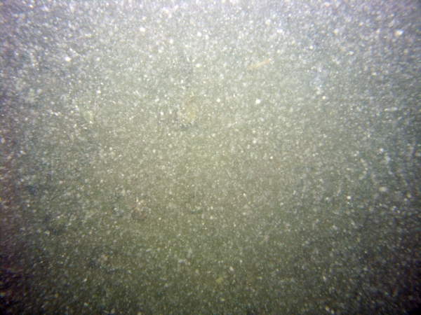 Image of seabed - photo.