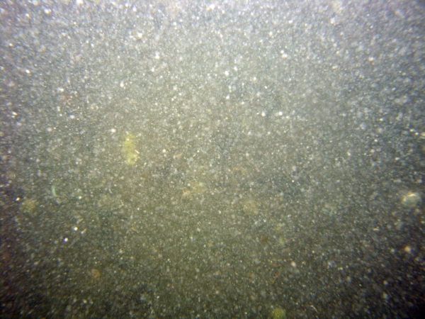 Image of seabed - photo.