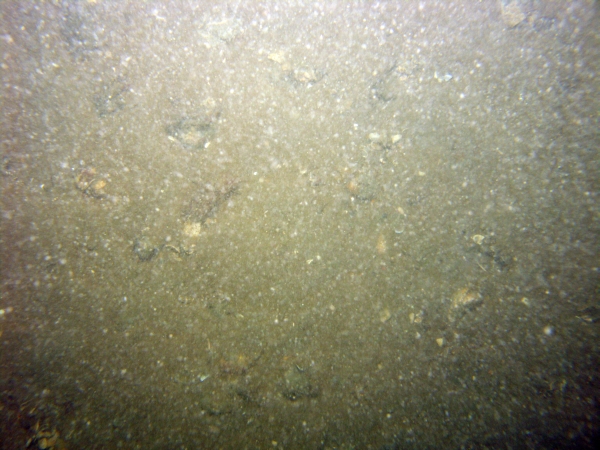 Image of seabed - photo.