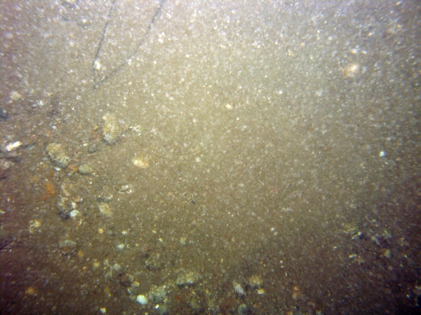 Image of seabed - photo.