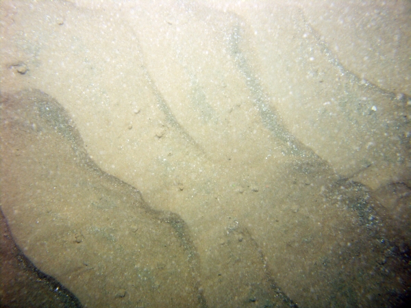 Image of seabed - photo.