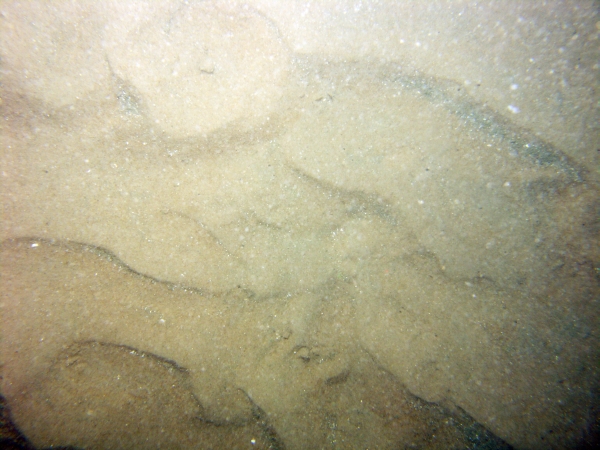 Image of seabed - photo.