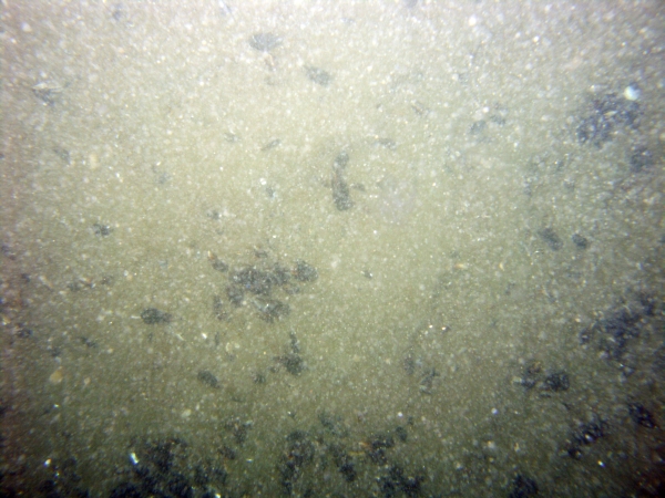 Image of seabed - photo.