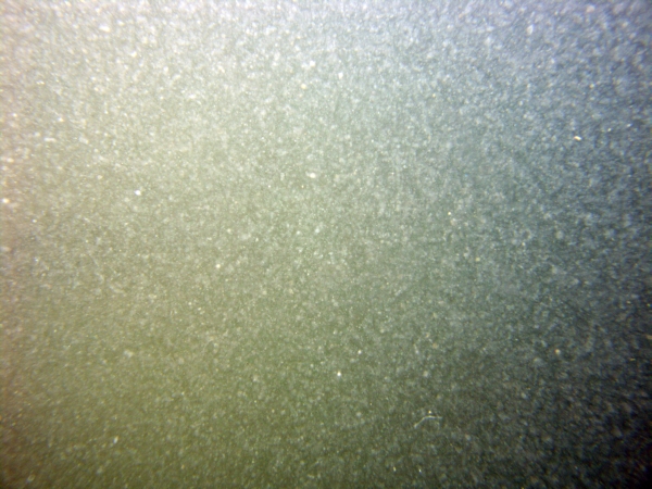 Image of seabed - photo.