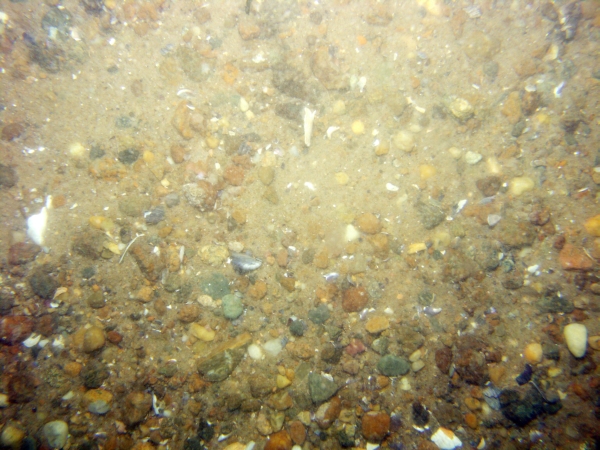 Image of seabed - photo.