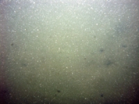 Image of seabed - photo.