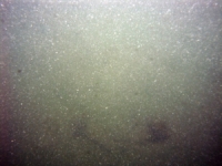 Image of seabed - photo.