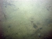 Image of seabed - photo.