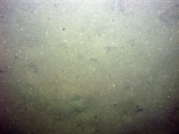 Image of seabed - photo.