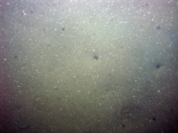 Image of seabed - photo.