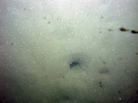 Image of seabed - photo.