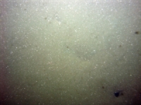 Image of seabed - photo.