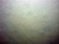 Image of seabed - photo.