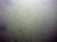 Image of seabed - photo.