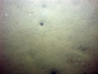 Image of seabed - photo.