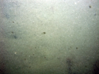 Image of seabed - photo.