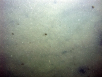 Image of seabed - photo.