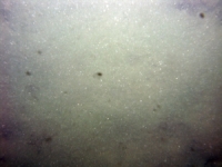 Image of seabed - photo.