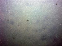 Image of seabed - photo.