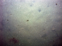 Image of seabed - photo.