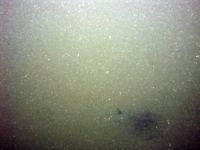 Image of seabed - photo.