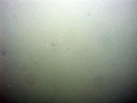 Image of seabed - photo.