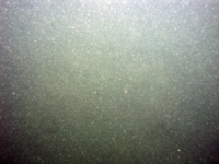 Image of seabed - photo.