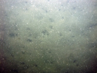 Image of seabed - photo.