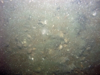 Image of seabed - photo.