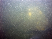 Image of seabed - photo.