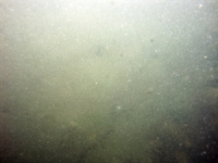 Image of seabed - photo.