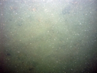 Image of seabed - photo.