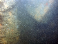 Image of seabed - photo.