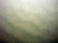 Image of seabed - photo.