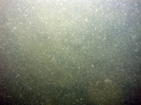 Image of seabed - photo.