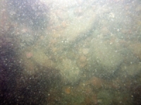 Image of seabed - photo.