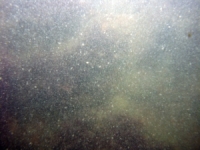 Image of seabed - photo.